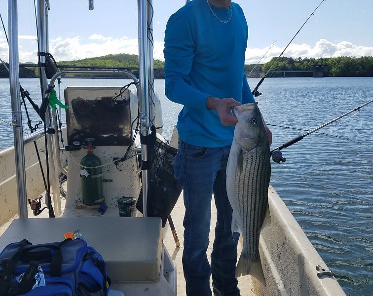 Lake Nottely Fishing in Blairsville, GA