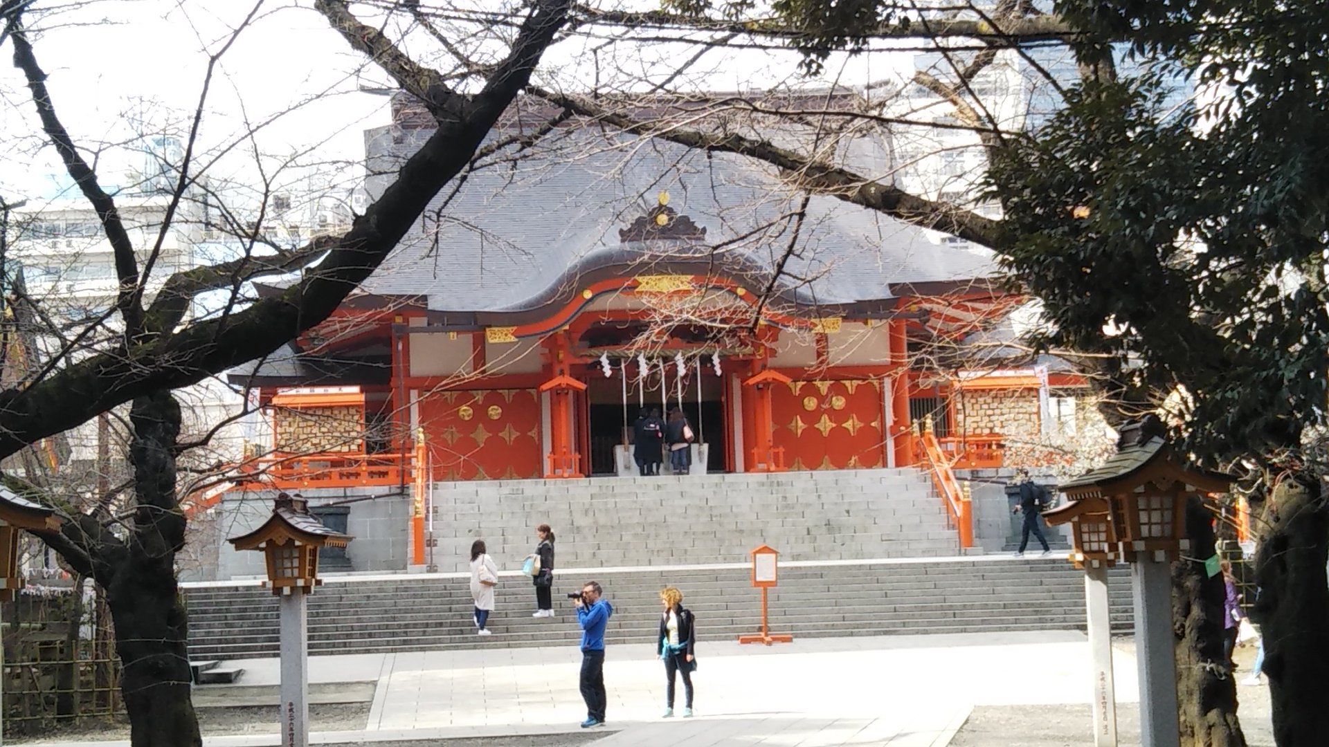 コレクション 新宿 花園神社ペット同伴