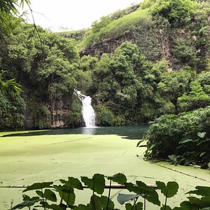 Ile de la Réunion, jardin d'Eden - La terre est un jardin