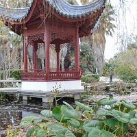 Jardin Botanique. В саду в январе
