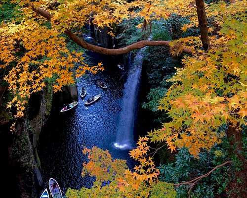 THE 10 BEST Parks & Nature Attractions in Kyushu Tripadvisor
