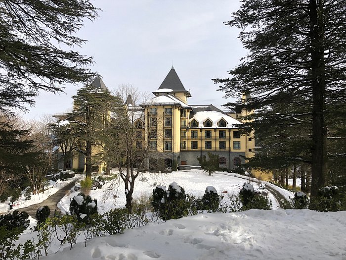 ワイルドフラワー ホール、イン ザ ヒマラヤ (Wildflower Hall, An Oberoi Resort, Shimla) マシ