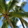 Michtraveler42763