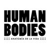 Human Bodies