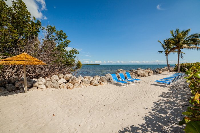 Mariner's Club Key Largo Pool Pictures & Reviews - Tripadvisor