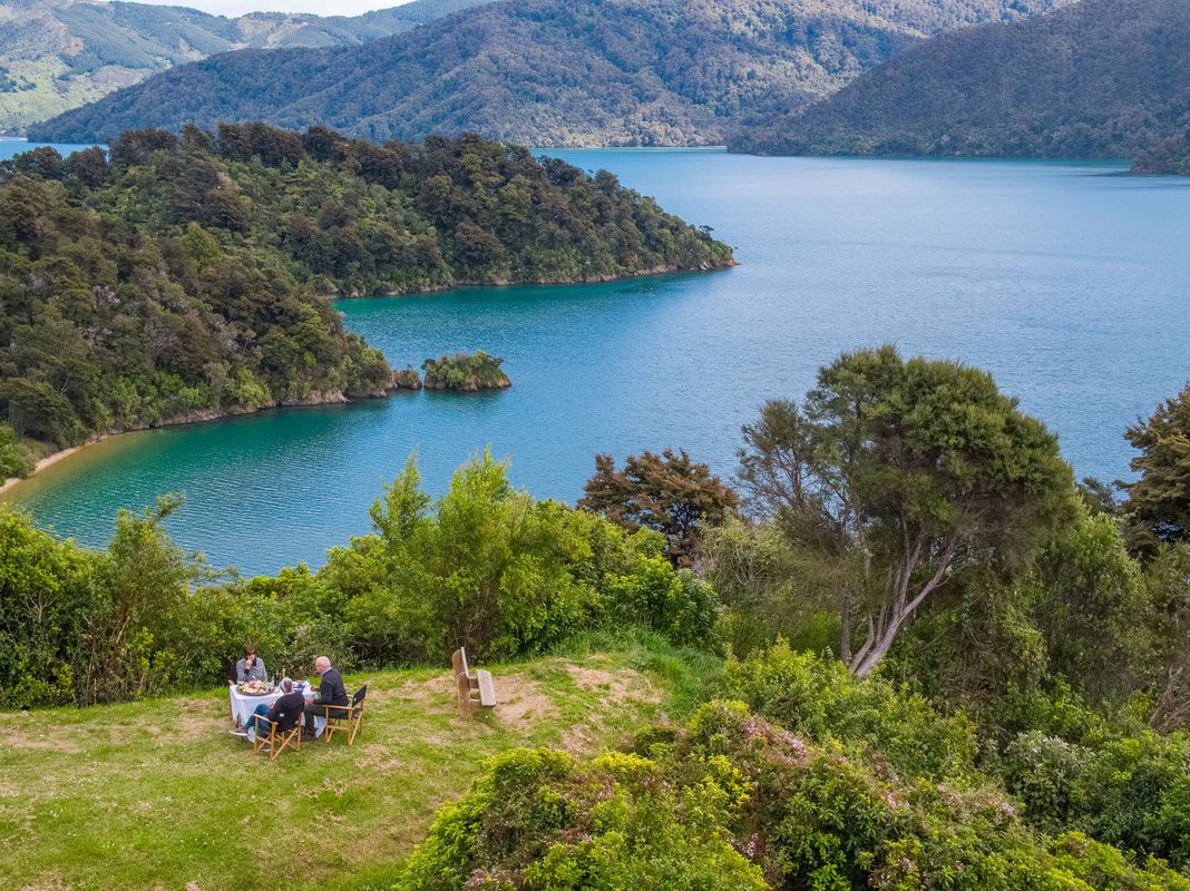 Marlborough Scenic And Wilderness Tours - All You Need To Know BEFORE ...