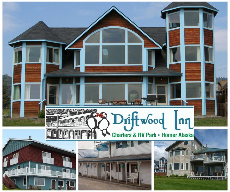 Driftwood Inn Homer Seaside Lodges Updated 2020 Prices Hotel Reviews Ak Tripadvisor