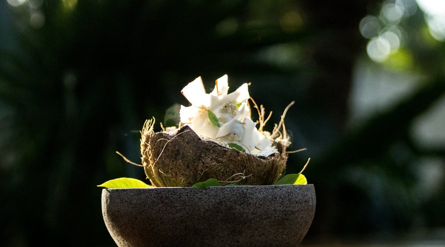 Delightful dessert made with cookie crumbles, ice cream and fine slices all made of local coconut making the flavor pop with albahaca and amaranth grain. Served in a coconut shell to keep it fresh and natural.