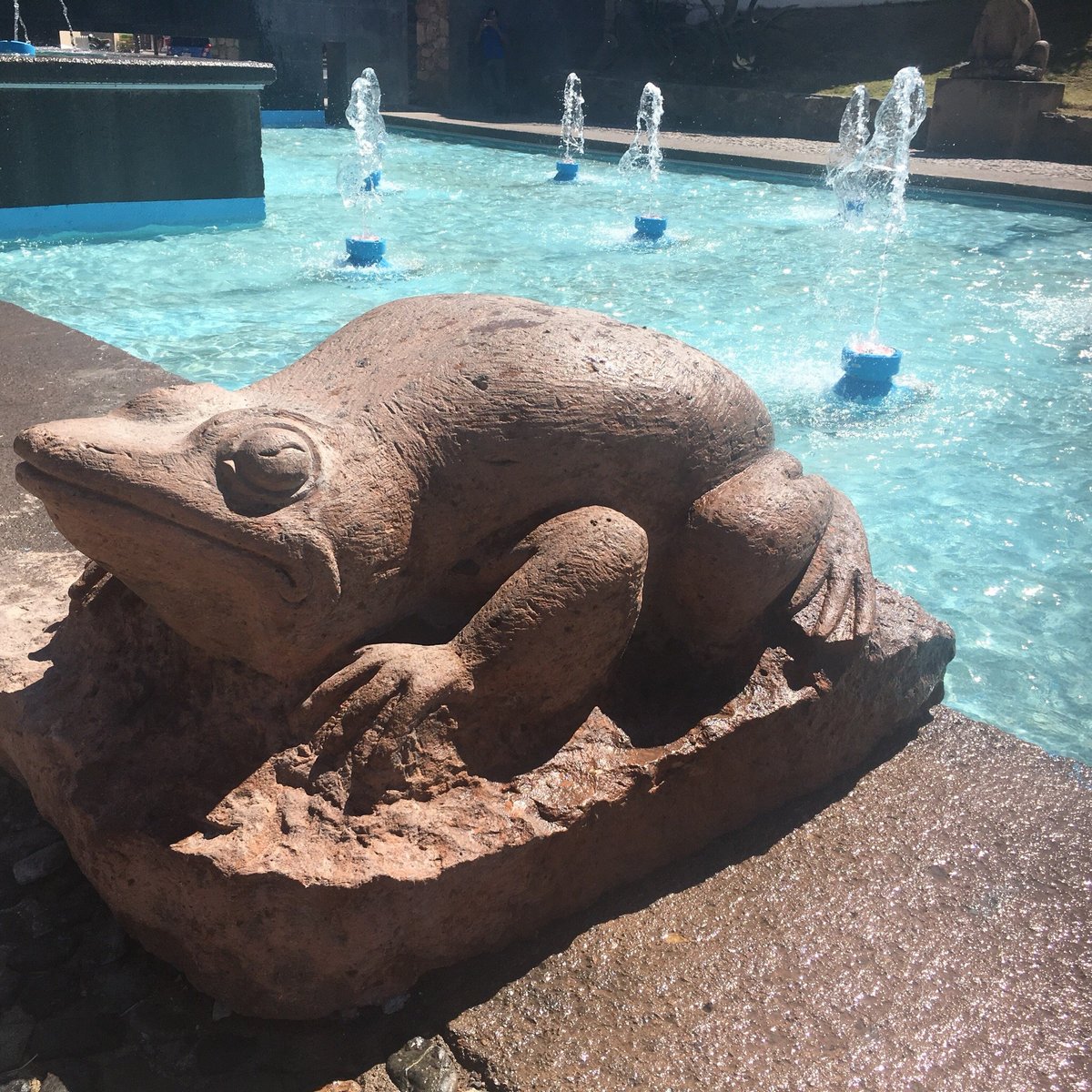 FUENTE DE LAS RANAS GUANAJUATO MEXICO