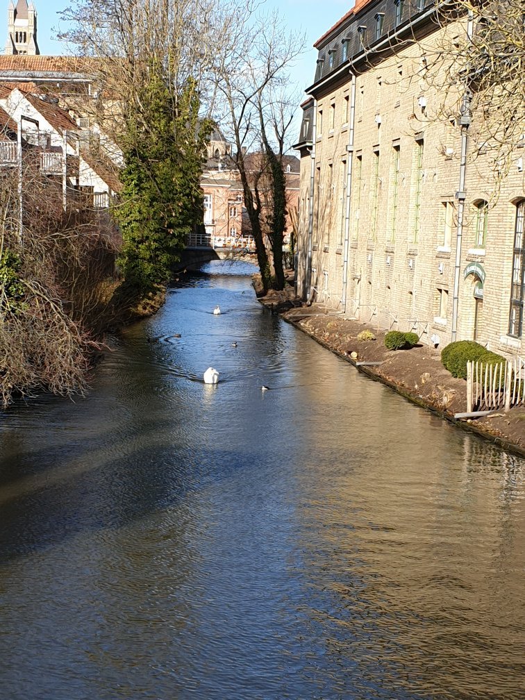 B&B IN BRUGES: Bewertungen, Fotos & Preisvergleich (Brügge, Belgien ...