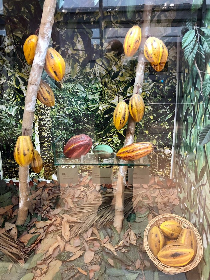 Imagen 10 de Museu de la Xocolata