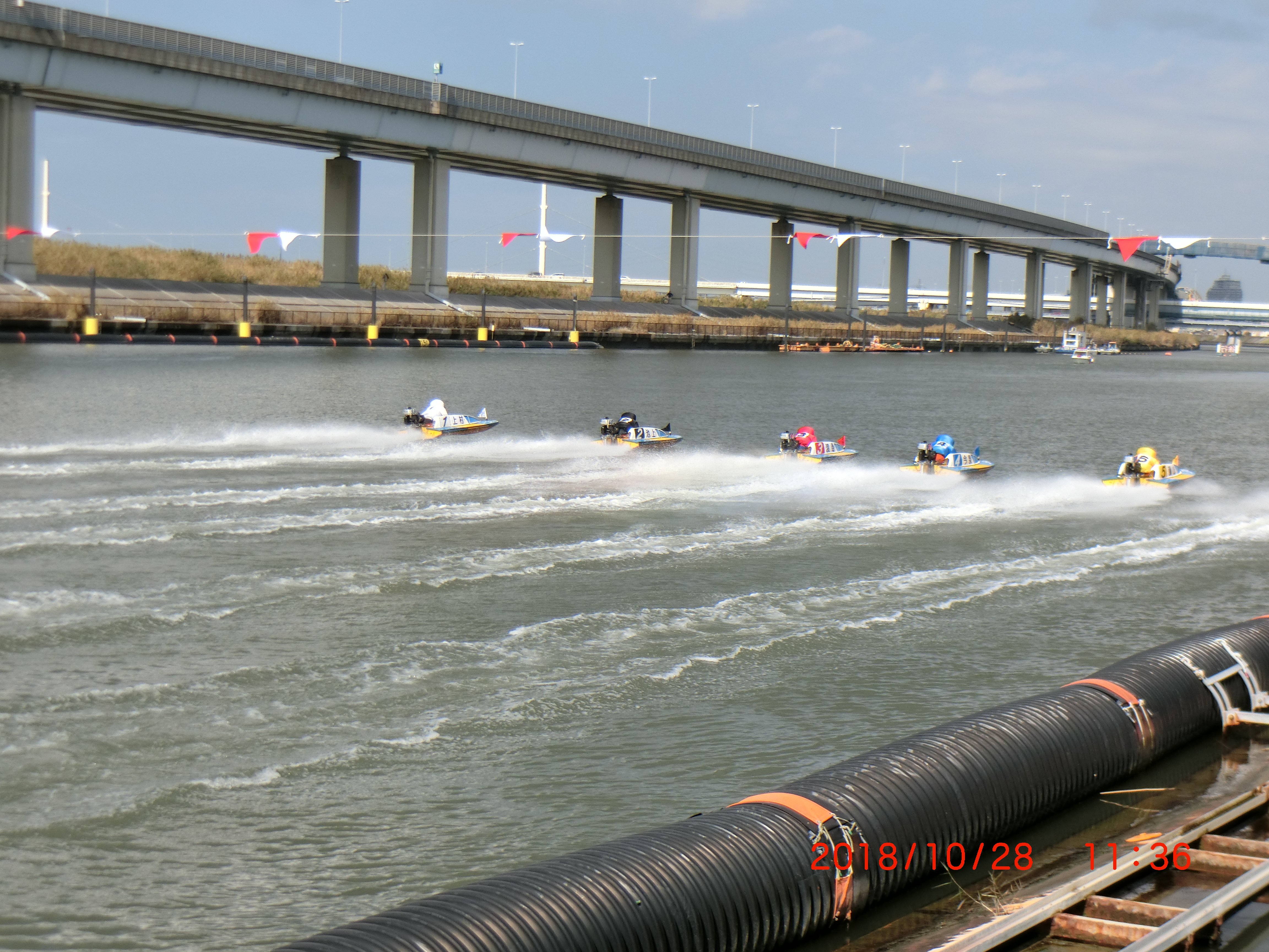 2024年 ボートレース江戸川 - 出発前に知っておくべきことすべて - トリップアドバイザー