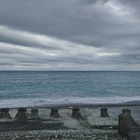 海