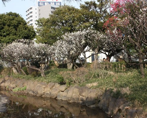 大田区の公園 自然 ベスト10 トリップアドバイザー