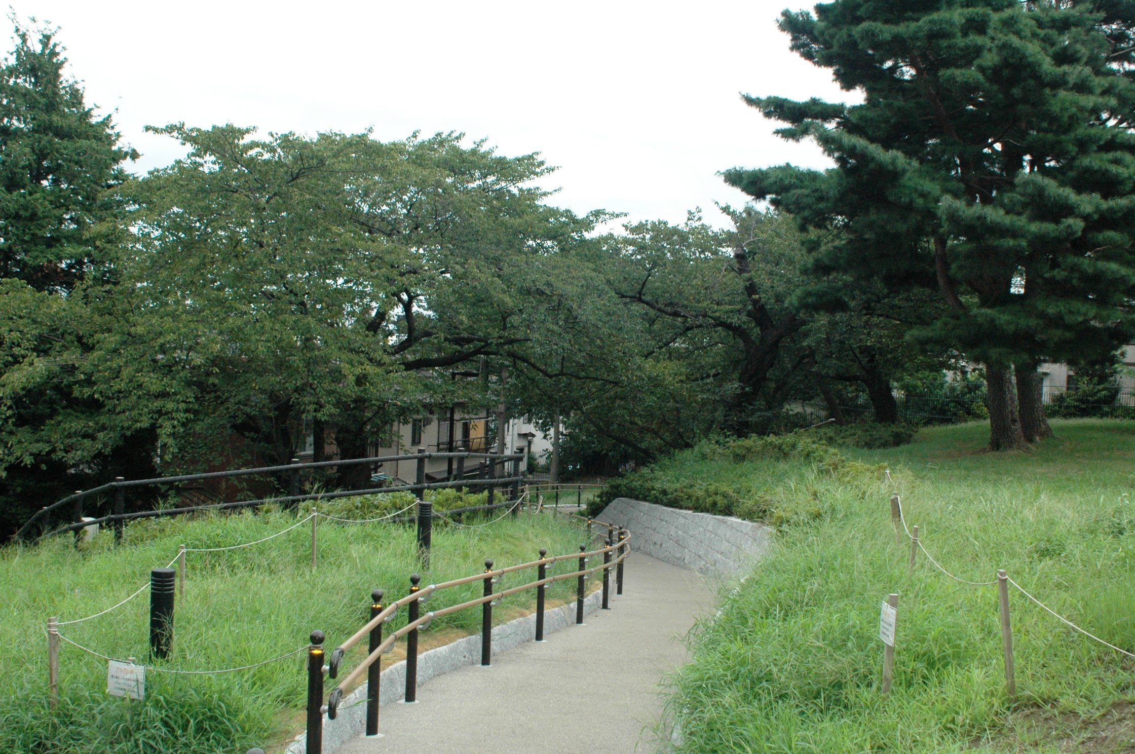 2023年 鵜の木松山公園 - 行く前に！見どころをチェック - トリップ