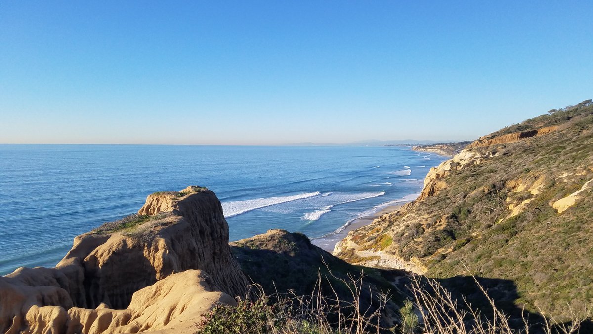 are dogs allowed at torrey pines