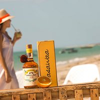 Made with the highest standards, Asawaa handcrafted liquor from La Guajira is a mystic distillate resulting from the special fermentation of sugar cane and native berries. Our recipies are based on local traditions from La Guajira and in our small distillery all batches are carefully supervised, offering a quality commitment in each one of our bottles.