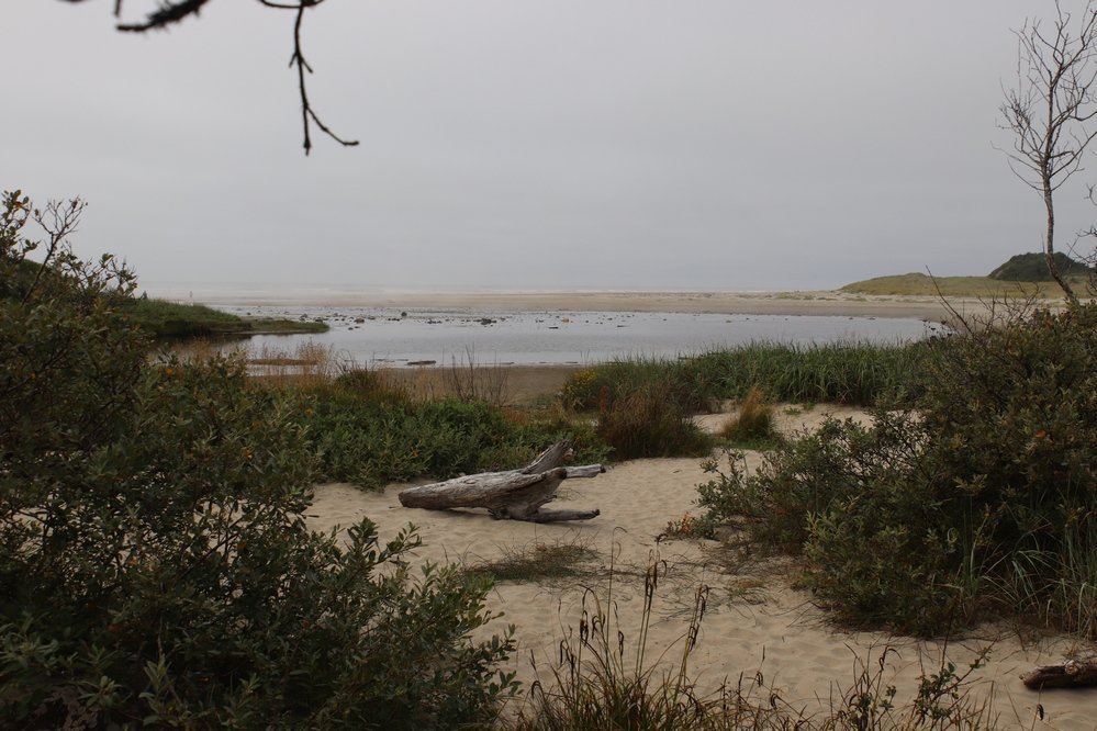 Oregon's Ona Beach: Where the Pacific Meets the Pines