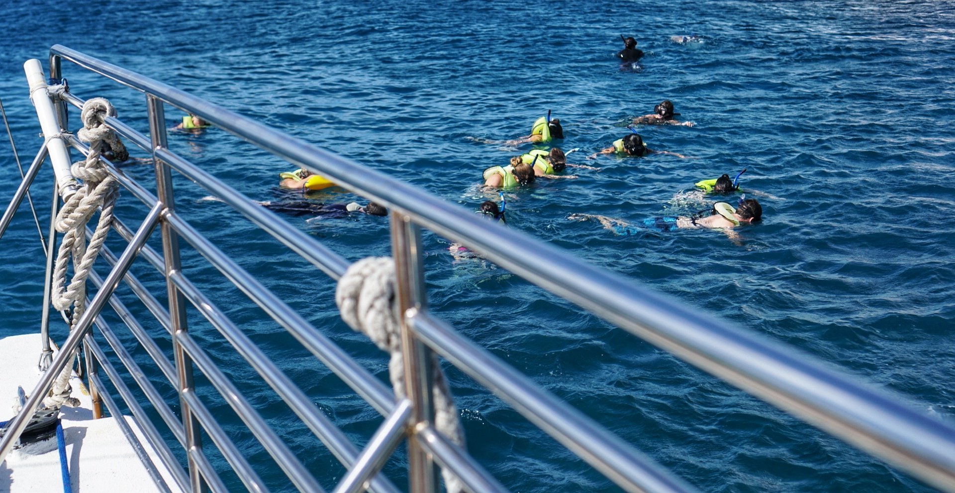 Snorkel Manu Kai