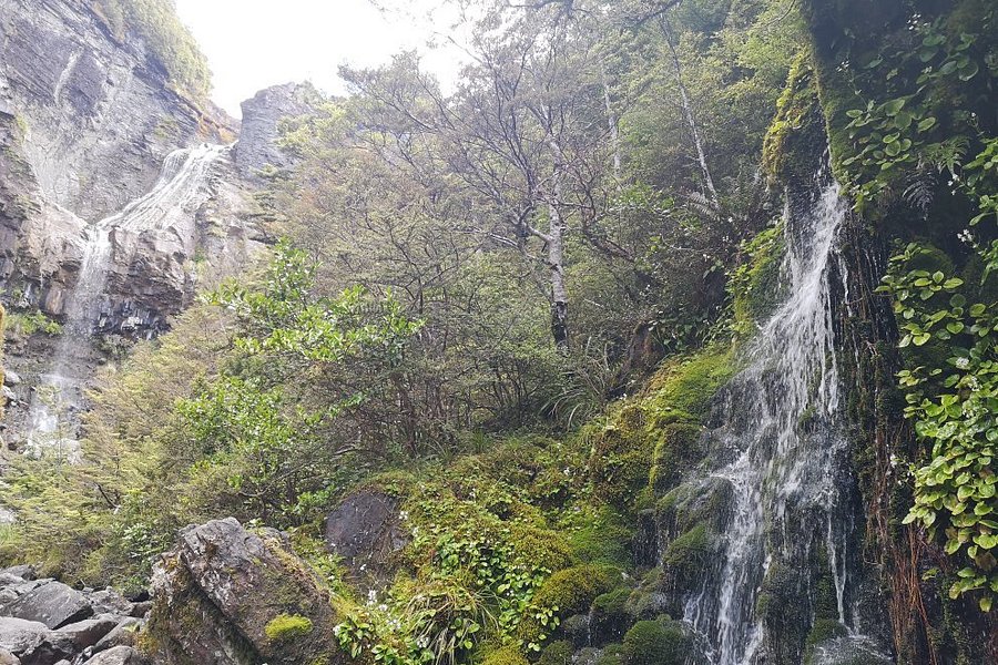 Waitonga Falls Track image