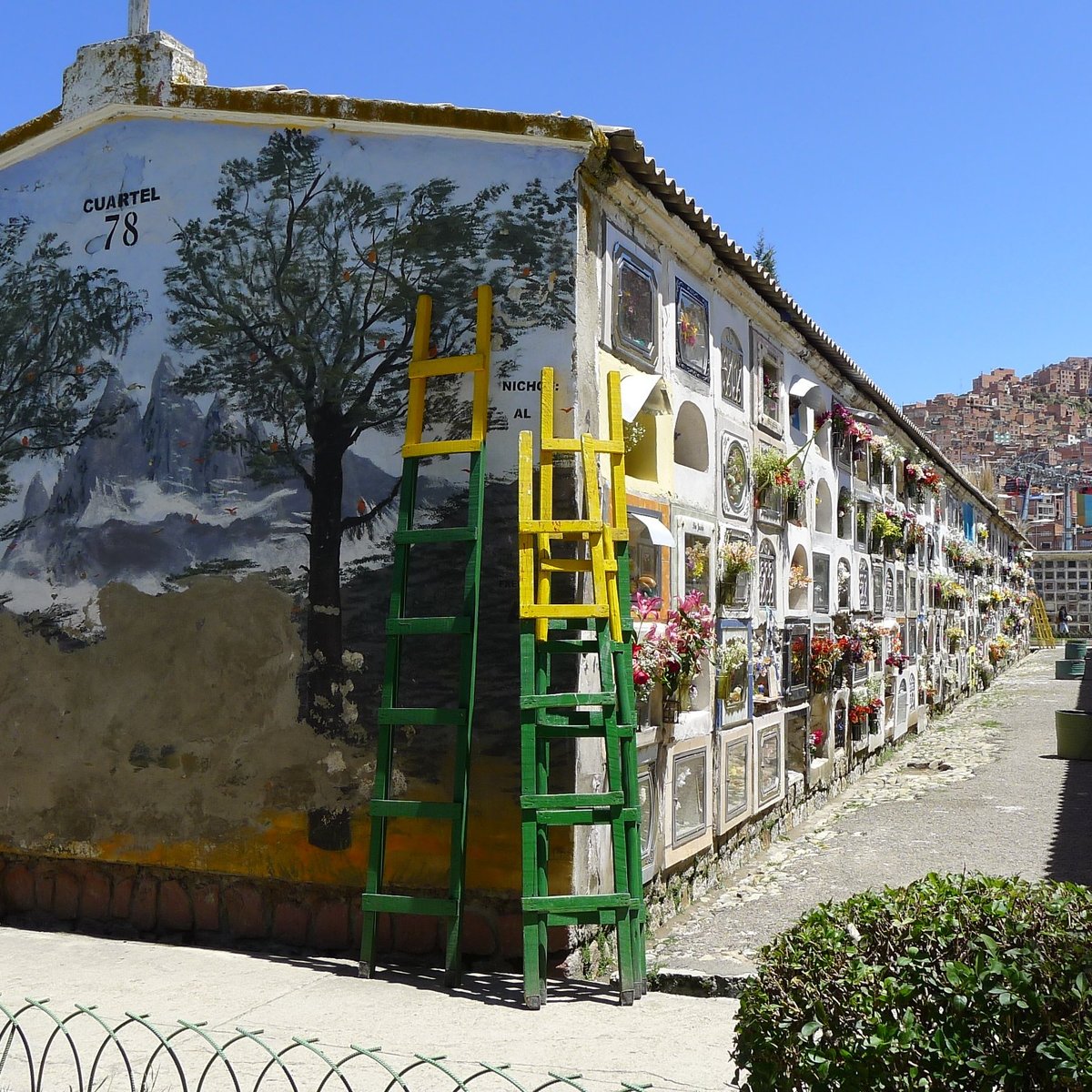 Cementerio General (La Paz) - All You Need to Know BEFORE You Go