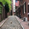 AcornStreetAssociation.com