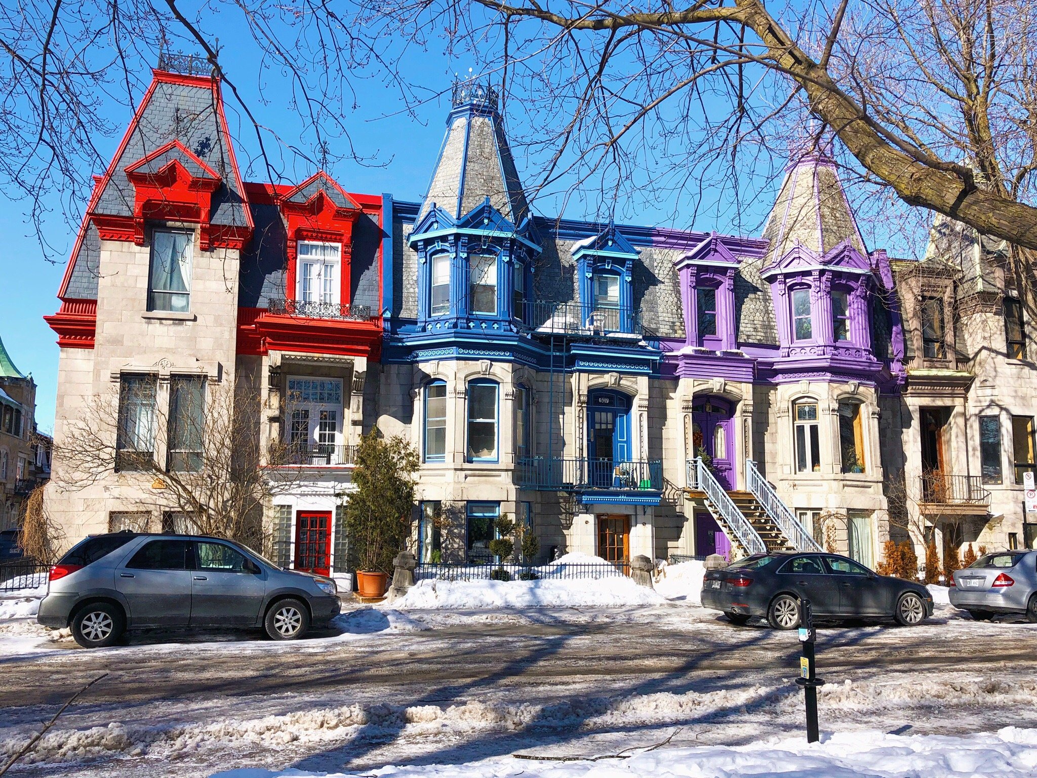 Plateau Mont Royal Tripadvisor   Photo1jpg 