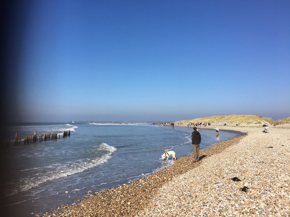 THE BEST Things to Do in West Wittering - 2023 (with Photos) - Tripadvisor