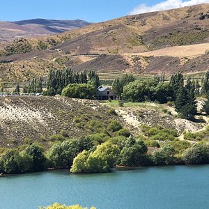 Mt Difficulty, Cloudy Bay Shed & Gibbston Wine Tour - Full Day