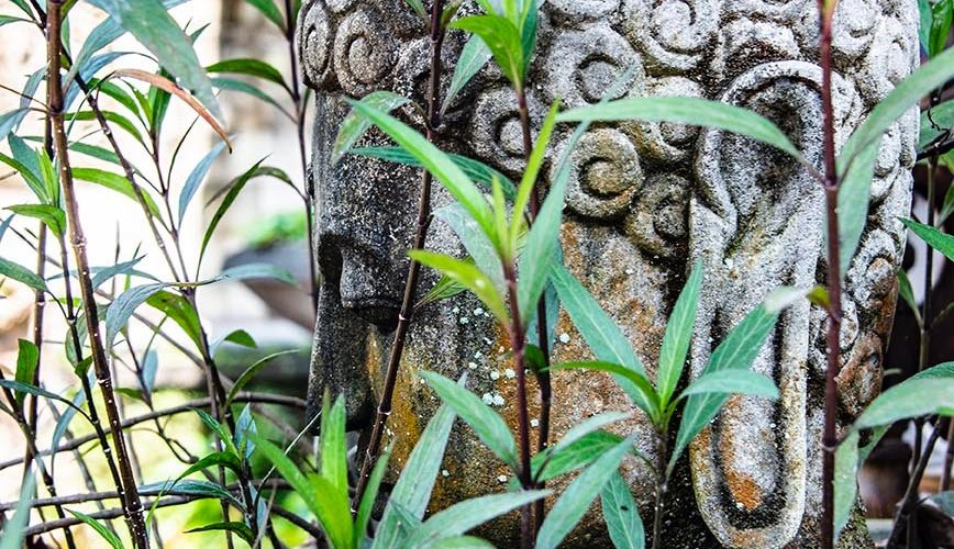 A Buddha welcomes you.