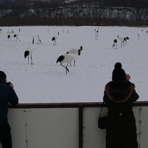 21年 釧路湿原野生生物保護センター 行く前に 見どころをチェック トリップアドバイザー