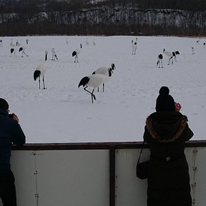 21年 釧路湿原野生生物保護センター 行く前に 見どころをチェック トリップアドバイザー 21年 釧路湿原野生生物保護センター 行く前に 見どころをチェック トリップアドバイザー