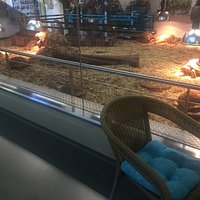 Schildpaddencentrum