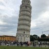 Italian Steve