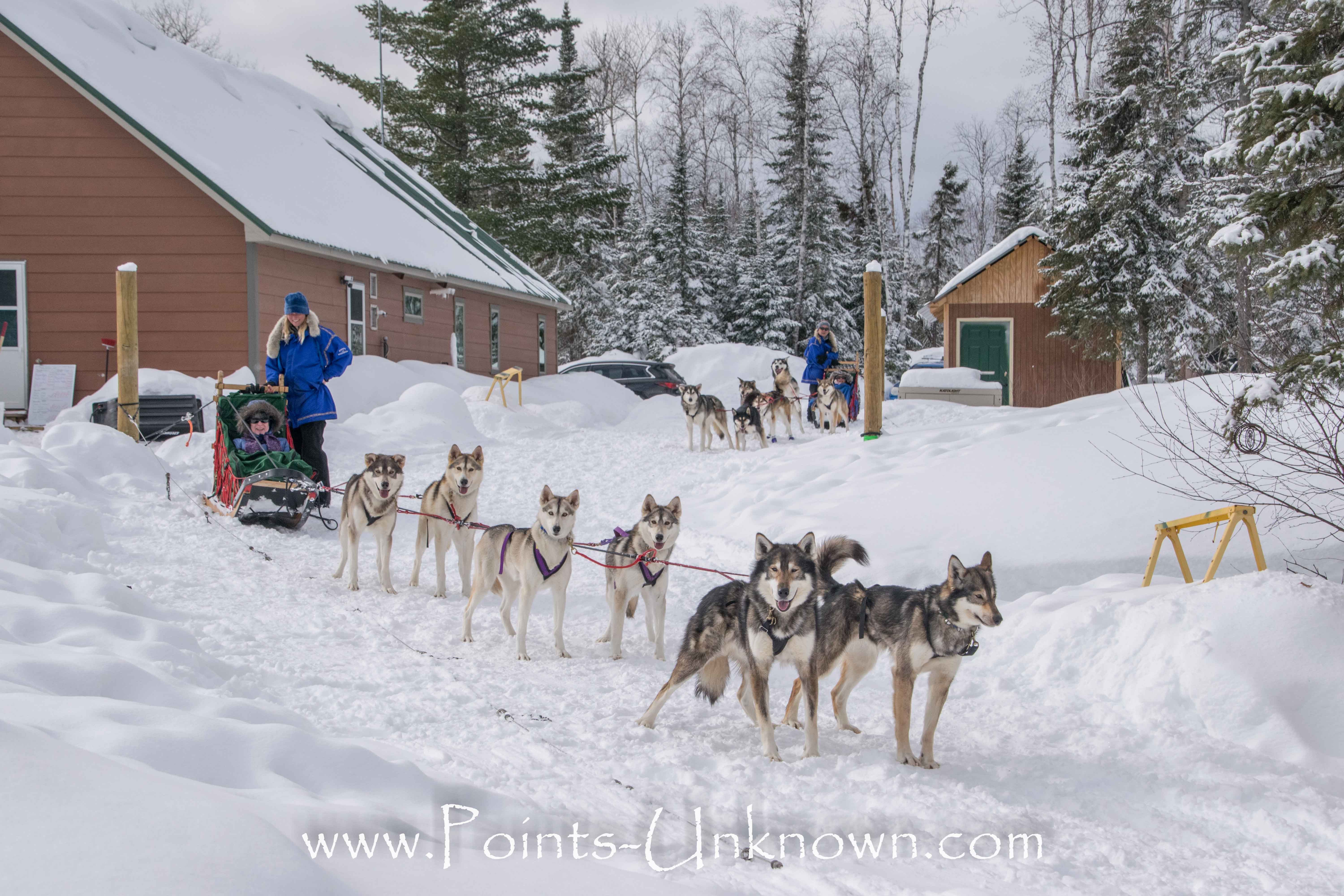 Points unknown dog sledding cheap
