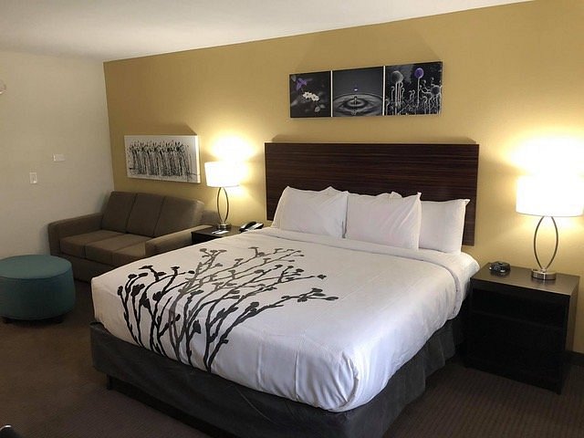 Sleep Inn Suites Rooms  Pictures Reviews Tripadvisor