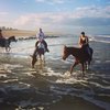 equestrianadventures