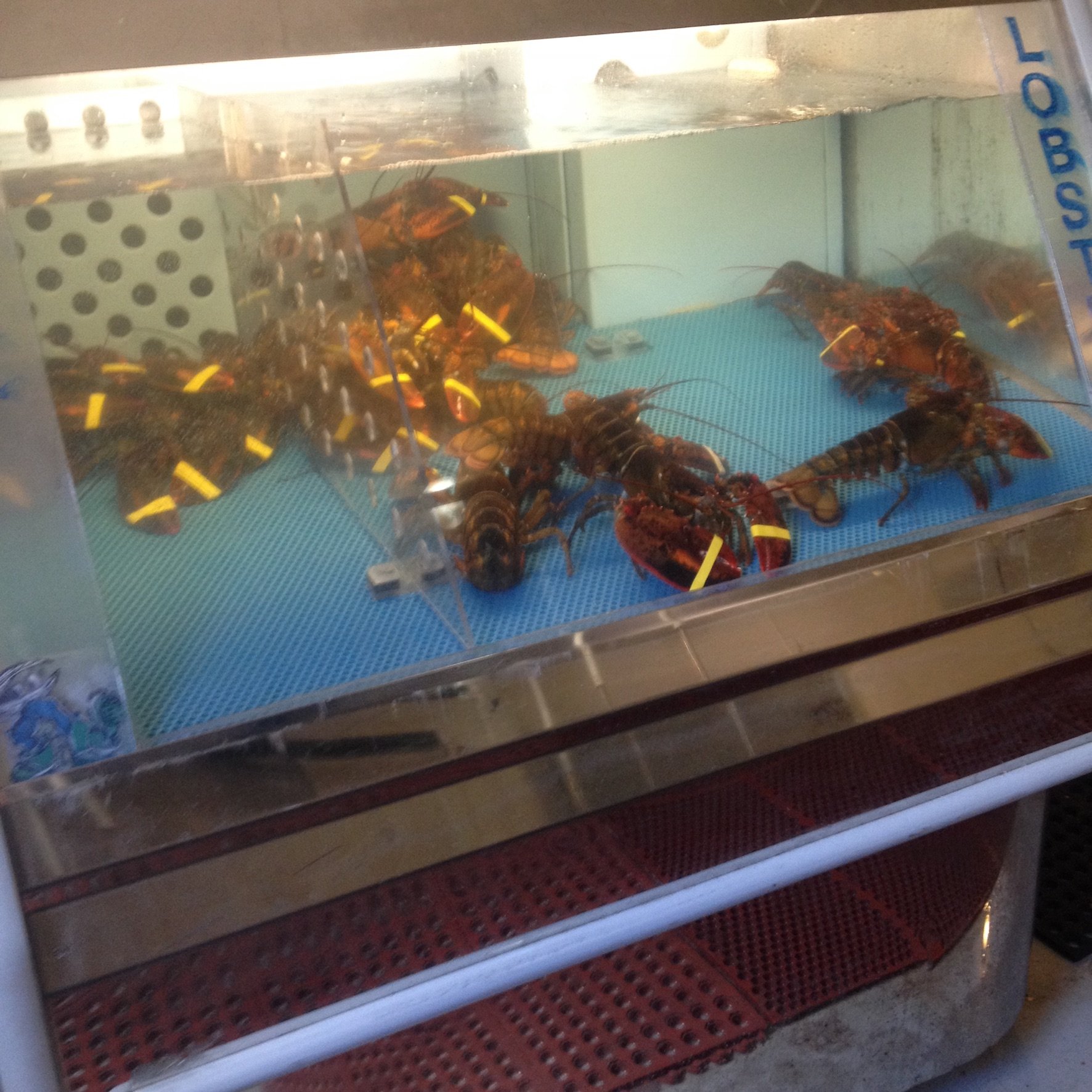 CLAM HUNTER SEAFOOD Phippsburg Restaurant Reviews Photos Phone Number Tripadvisor