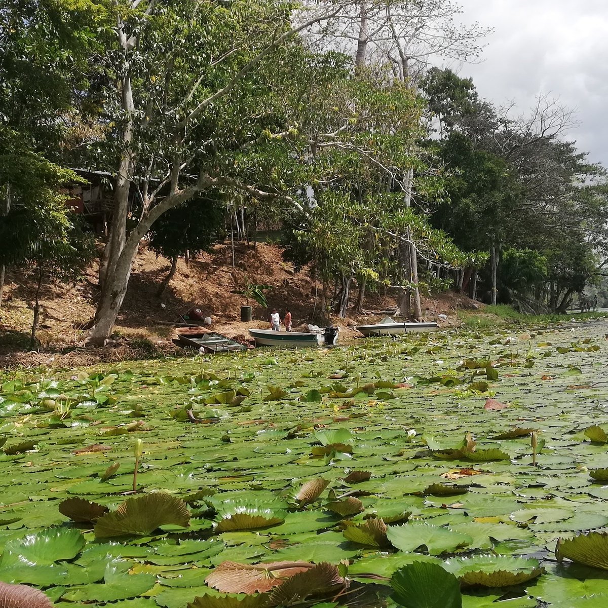 The Experience Panama Panama Stad Alles Wat U Moet Weten Voordat Je