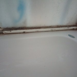 Mold on shower door