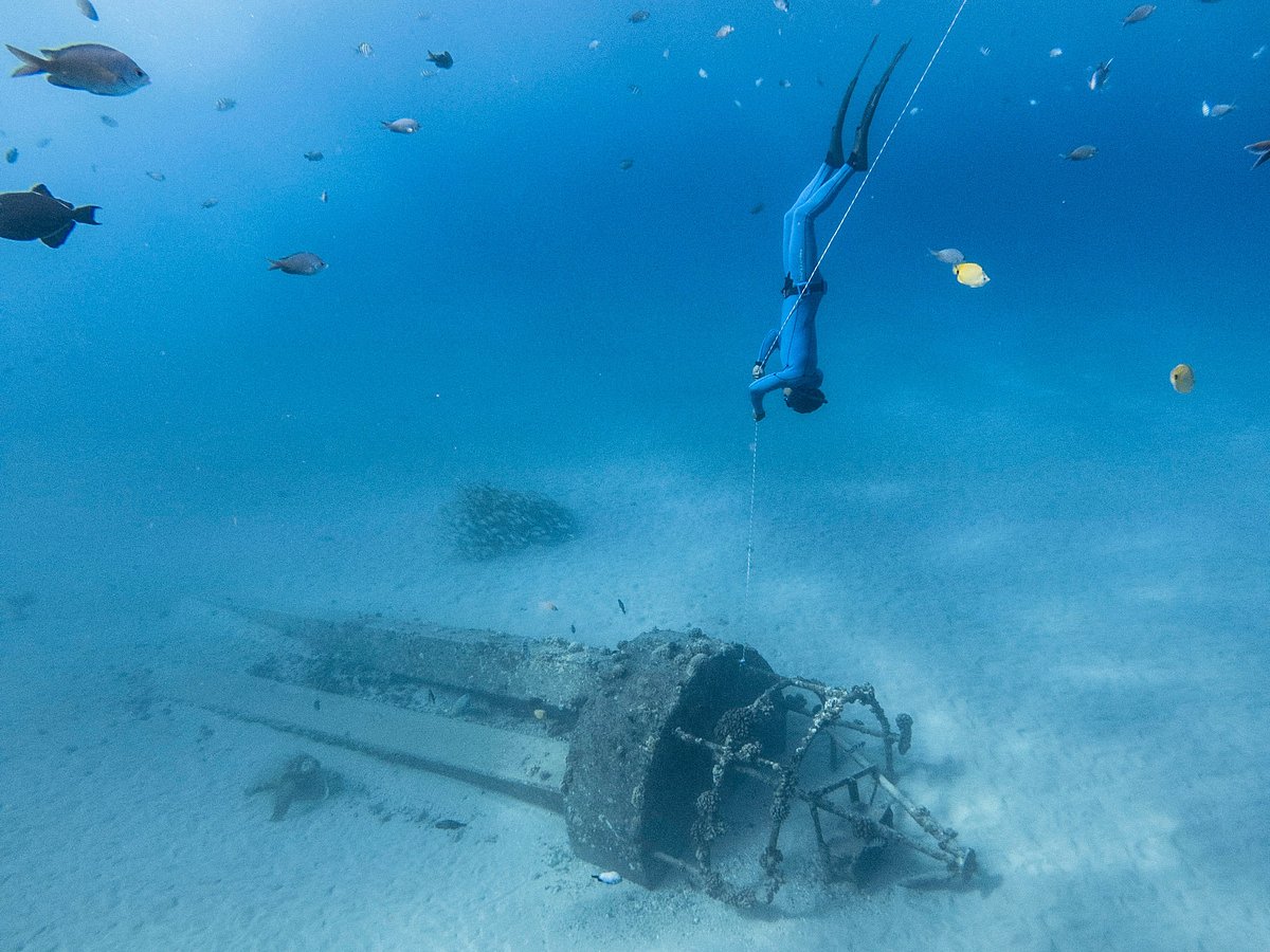 1breath Freediving (2025) All You Need to Know BEFORE You Go (with 1breath Freediving (2025) All You Need to Know BEFORE You Go (with