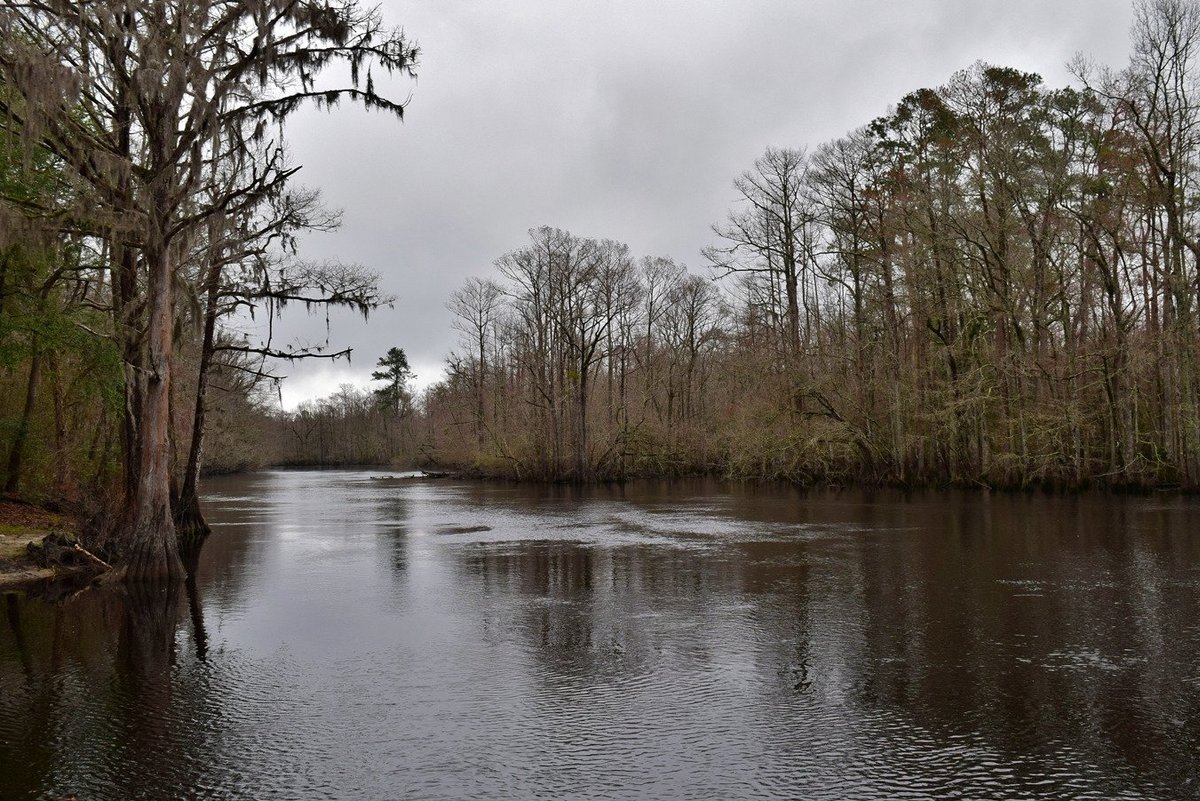 Lumber River State Park (Orrum, NC) - Review - Tripadvisor