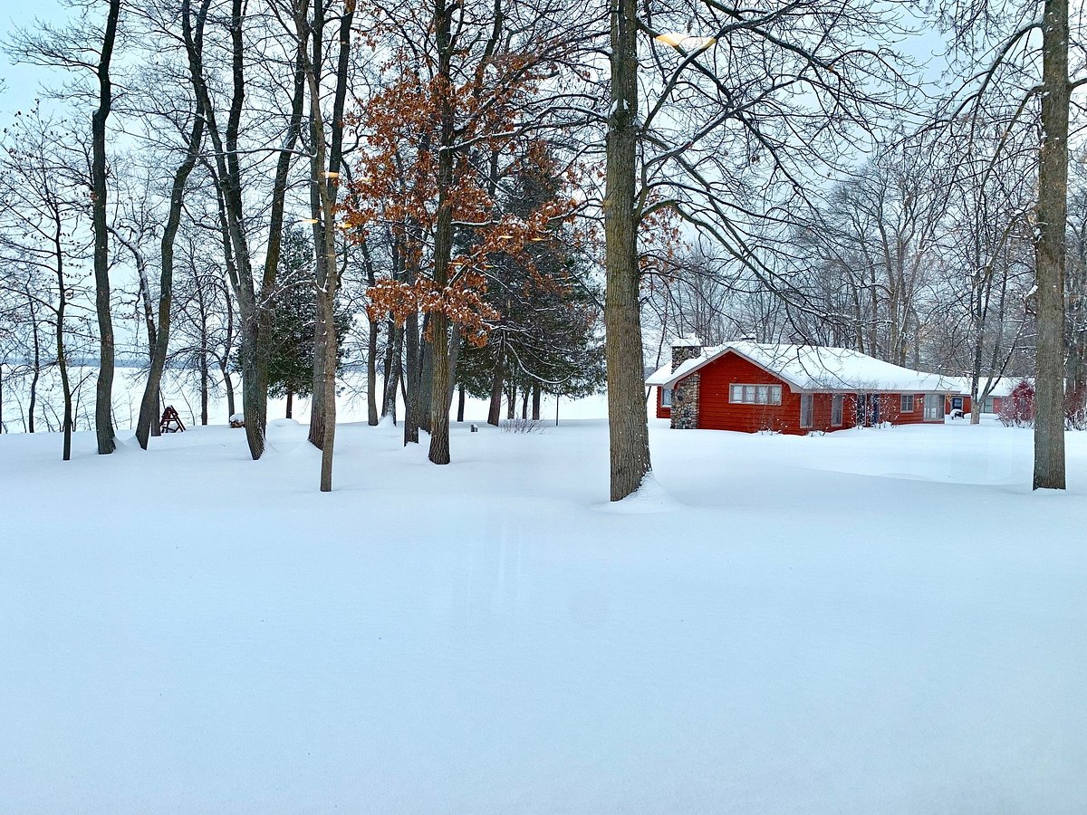 Perch Ice Fishing - Picture of Brindley's Harbor Resort Inc., Walker -  Tripadvisor