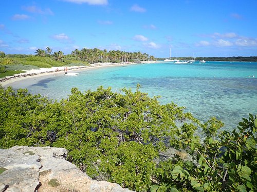 THE 5 BEST Guadeloupe Islands to Visit (Updated 2024) - Tripadvisor