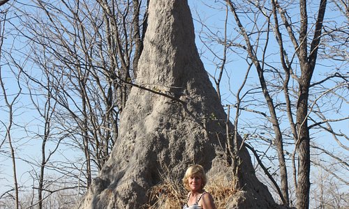 This is another Termite hill in Gweta, Botswana on our way to Nata.