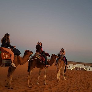 Camel ride, Sahara desert Morocco 