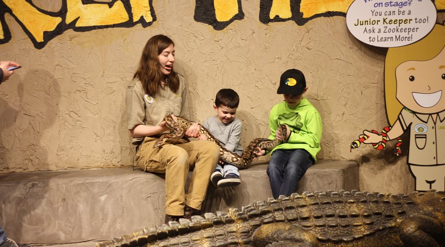 Reptilia Vaughan Location