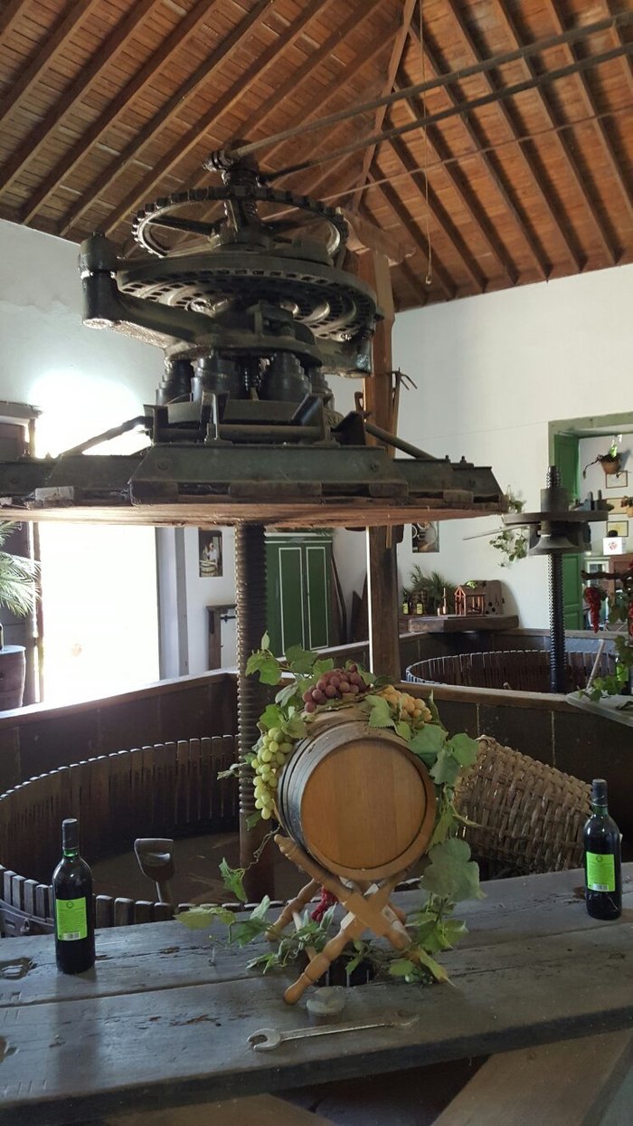 Imagen 9 de Bodega San Juan - Museo del Vino