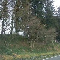 この左側が古墳らしい。