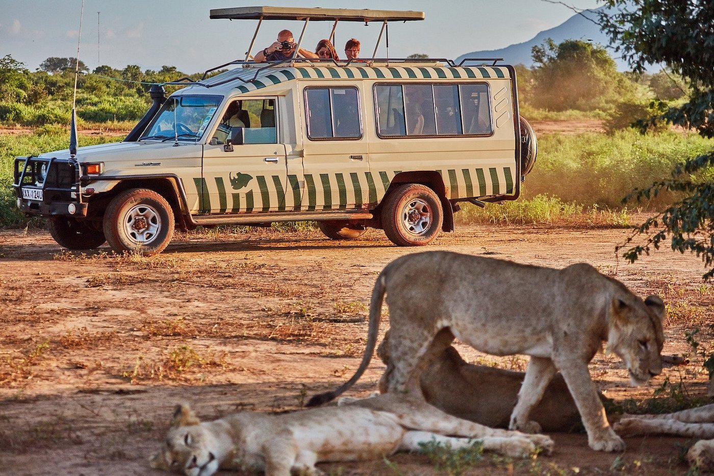 safari in kenya prezzi
